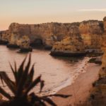 Book Review: Under The Bright Wings