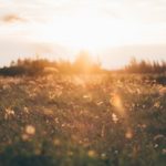 What Virus Are You Spreading?